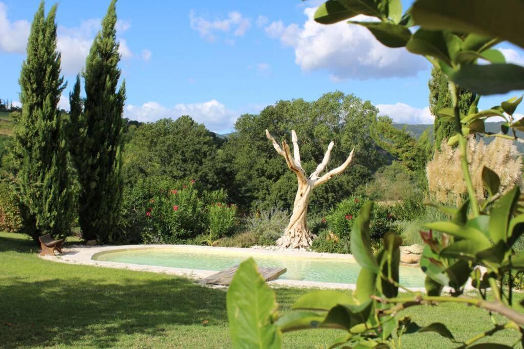 Casa Kikenda, Viaggio Nella Natura Treia Eksteriør bilde