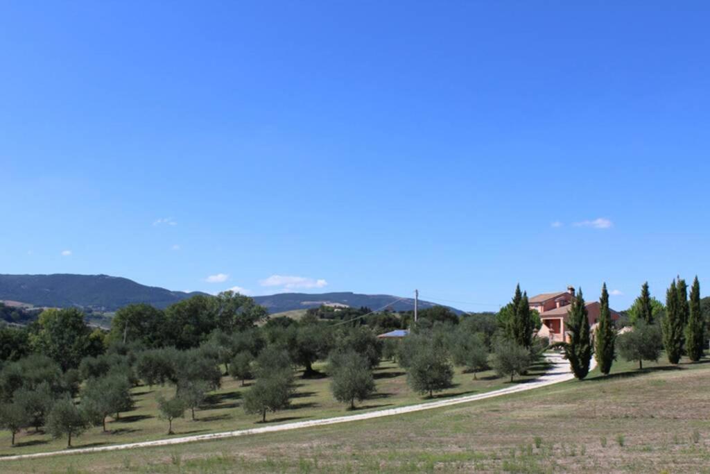 Casa Kikenda, Viaggio Nella Natura Treia Eksteriør bilde