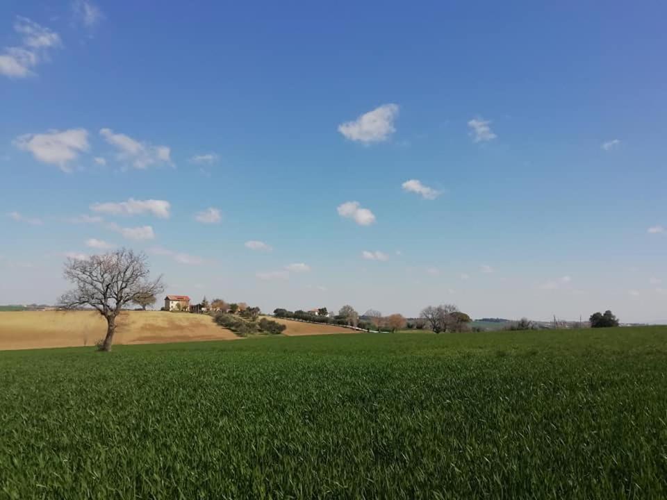 Casa Kikenda, Viaggio Nella Natura Treia Eksteriør bilde