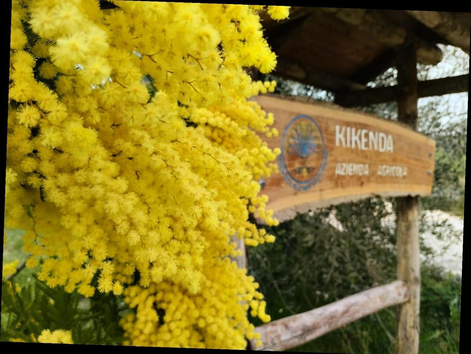 Casa Kikenda, Viaggio Nella Natura Treia Eksteriør bilde