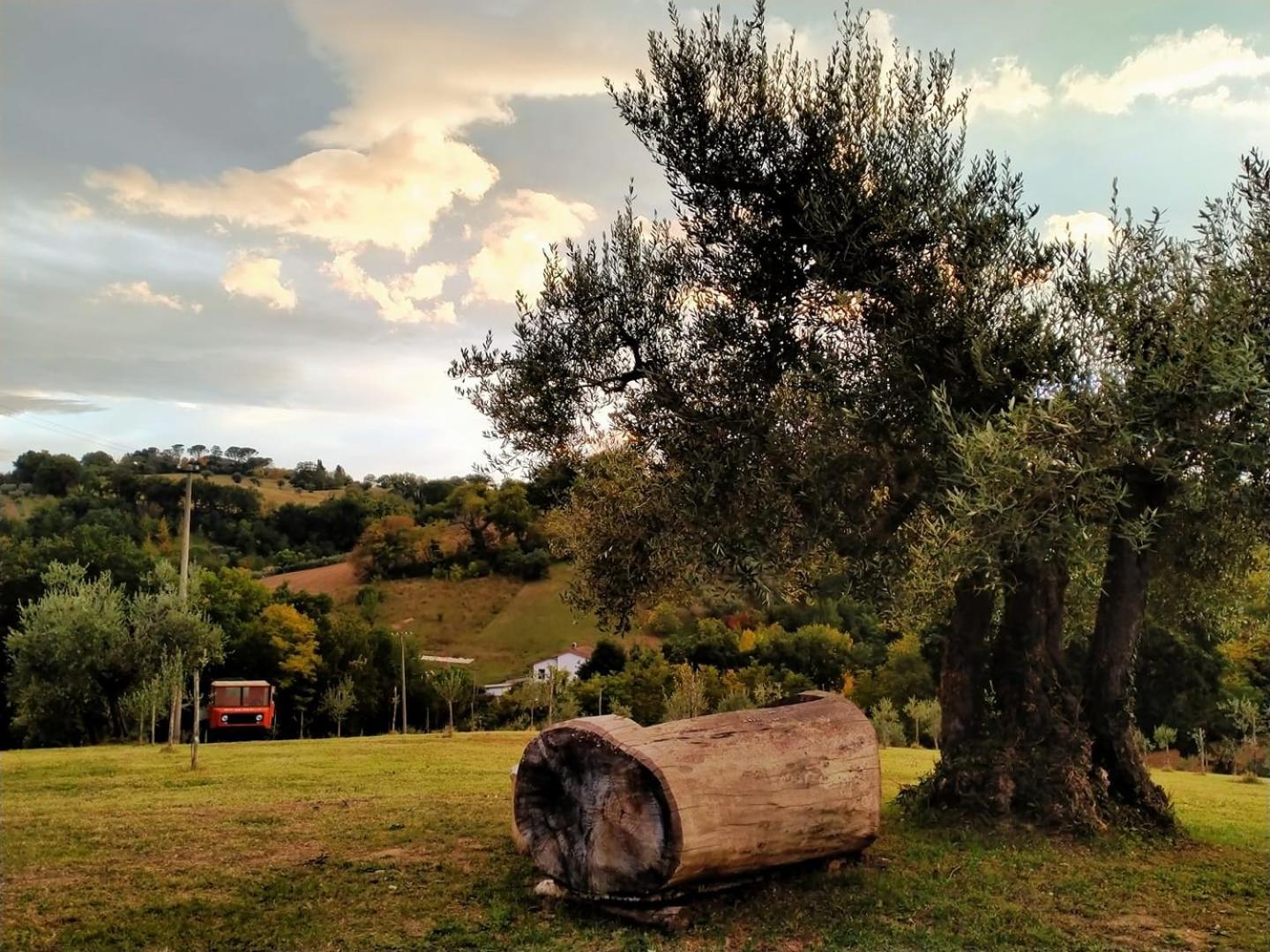 Casa Kikenda, Viaggio Nella Natura Treia Eksteriør bilde